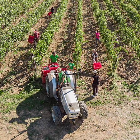Il Querciolo - Azienda Biologica, Agriturismo E Cantina Marciano della Chiana Екстер'єр фото